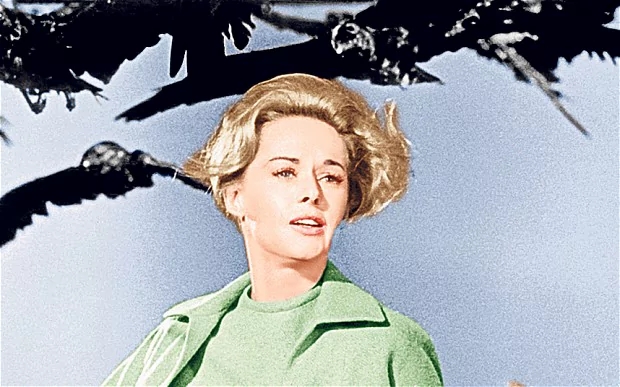 Tippi Hedren in Alfred Hitchcock's The Birds (1963). Photo: Everett Collection/Rex features